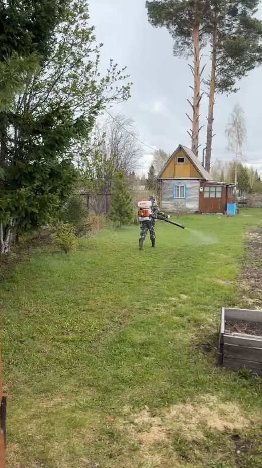 Видео процесса обработки